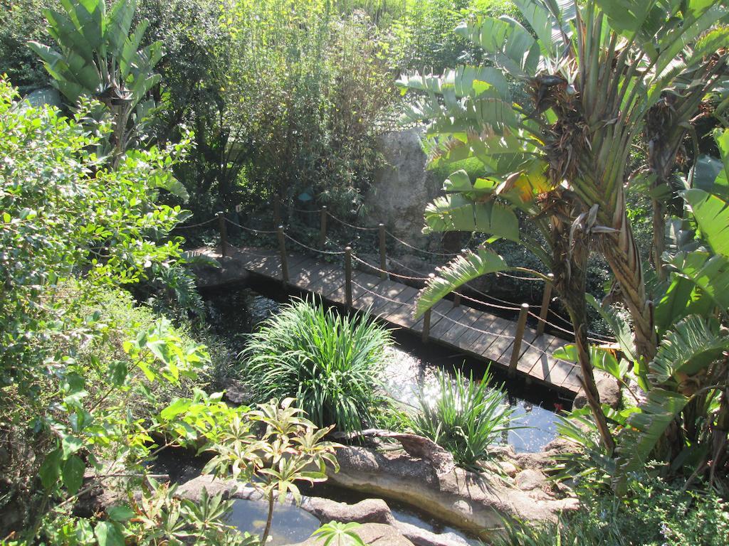 Joern'S Gaestehaus Mbombela Ruang foto